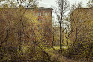 31. Из серии "Провинция", 2010-2020 гг.