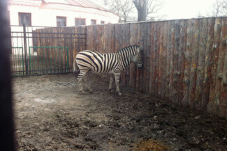 22. Харьков, Украина