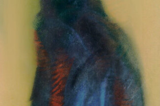 14. From the "Portraits" project