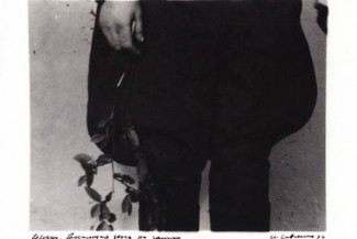 35. Веточка, бросающая тень на галифе, 1994 г.: 10.94-5 (из серии «Алфавит жестов», 1989-1994)
