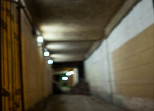 83. Санкт-Петербург, 2021 г.