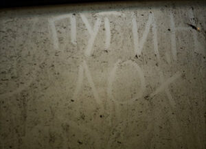 37. Санкт-Петербург, 2021 г.