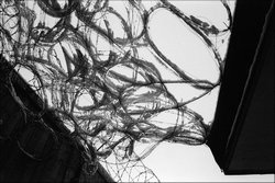 13. Colony for juveniles, Cesis, Latvia, 2002.