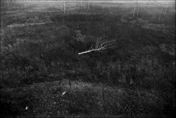 36. Trans-Siberian Railway, Russia, 2003