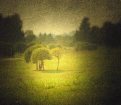 08. Из серии "Walk Alone on Your Own", 2010