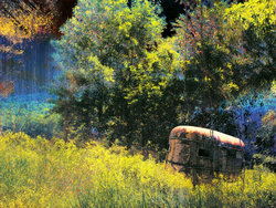 20. Из серии "Blue Mountains", 2013