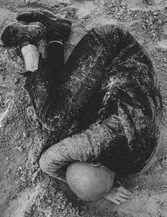 02. Из серии "Хомо". 2018