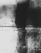 20. Из серии "Душа рвется". 2020