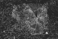 31. Из серии "В последний раз". 2015