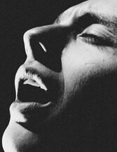 32. Из серии "Ослиная шкура". 2019