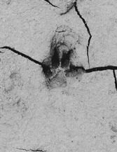 34. Из серии "Мысли вслух". 2020