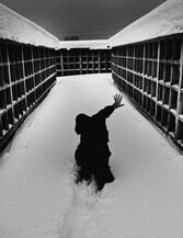 35. Из серии "Жилище". 2019