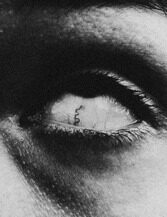 38. Из серии "Последнее лето". 2019