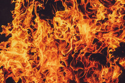 41. Из серии "Хомо". 2018