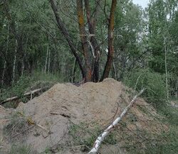 03. Abandoned position of Russian troops. Ukraine, 2022