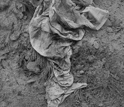 06. Burial place of a civilian. Ukraine, 2022.