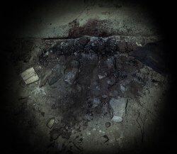 11. A former pioneer camp in Bucha, where Russian soldiers tortured and shot five local volunteers. Ukraine, 2022