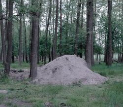 23. Abandoned position of Russian troops. Ukraine, 2022