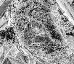 48. Portrait of a dead Russian soldier. Ukraine, 2022.