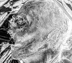 54. Portrait of a dead Russian soldier. Ukraine, 2022.