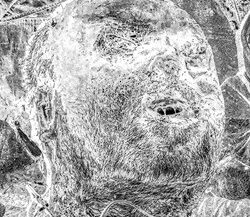 58. Portrait of a dead Russian soldier. Ukraine, 2022.