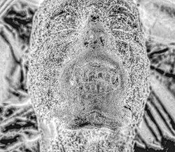 55. Portrait of a dead Russian soldier. Ukraine, 2022.