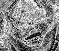 61. Portrait of a dead Russian soldier. Ukraine, 2022.