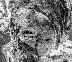 52. Portrait of a dead Russian soldier. Ukraine, 2022.