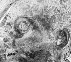 34. Portrait of a dead Russian soldier. Ukraine, 2022.