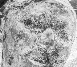 33. Portrait of a dead Russian soldier. Ukraine, 2022.