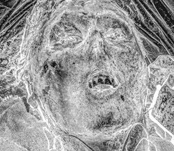 35. Portrait of a dead Russian soldier. Ukraine, 2022.