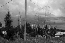 73. Вытегра, Вологодская область, Россия. 2013.