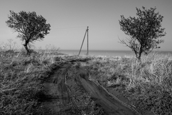 91. Порт Катон, Краснодарский край, Россия. 2014.