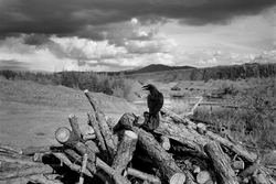 04. Magadan region, 2014