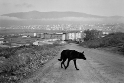 35. Magadan Magadan region, 2014