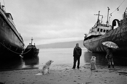 43. Magadan Magadan region, 2014