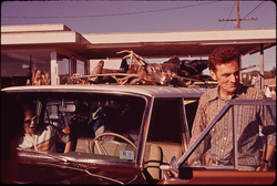 33. The First Deer Casualty of the Hunting Season Is Tied to Top of Automobile. Leakey Gasoline Station 11/1972. Photographer: Marc St. Gil