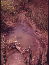 57. Clogged Stream at Entrance to Great Kills Park on Staten Island. 05/1973. Photographer: Arthur Tress