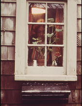 32. Simple Rockport Window. Bearskin Neck at Rockport 02/1973. Photographer: Deborah Parks