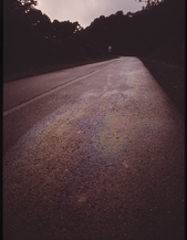 62. Road near San Juan, Puerto Rico 02/1973. Photographer: John Vachon