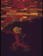 18. Farmland of the Imperial Valley, and the Salton Sea infrared film, May 1972. Photographer: Charles O'Rear