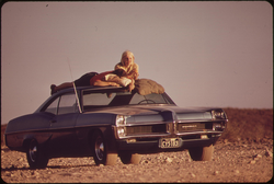 43. Visitors sunbathing at Lake Mead, May 1972. Photographer: Charles O'Rear