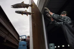 36. Камчатский край, 2007