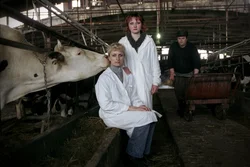 43. Тосненский район, Ленинградская область, 2006