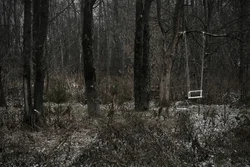 34. Тутаев, Ярославская область, 2019