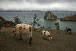 68. Остров Ольхон, Байкал, 2008