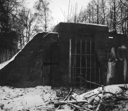 049. St. Petersburg, 2013