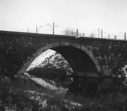 13. St. Petersburg, 2013