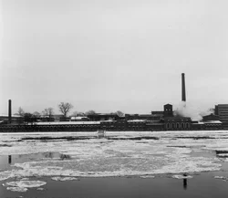 36. St. Petersburg, 2014