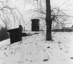 39. St. Petersburg, 2014